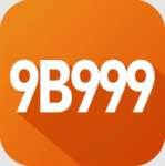 9b999 - VIP Max